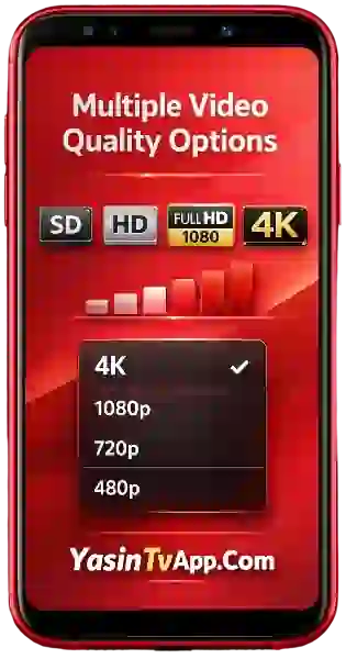 Multiple Video Quality Options